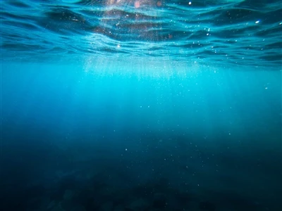 Επίδραση του υπερμαγγανικού καλίου στην αφαίρεση της οσμής και της γεύσης από...