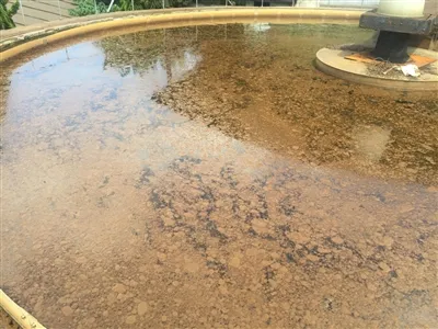 Λάσπη που επιπλέει σε αερόβιες δεξαμενές επεξεργασίας λυμάτων